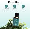 Mint Essential Oil Blend for Diffuser – Refreshing Mint Oil Diffuser Essential Oils with Cooling Peppermint Spearmint Bergamot and Eucalyptus Oils – Pure Aromatherapy Oils for Diffuser(Protect)