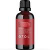 Mint Essential Oil Blend for Diffuser – Refreshing Mint Oil Diffuser Essential Oils with Cooling Peppermint Spearmint Bergamot and Eucalyptus Oils – Pure Aromatherapy Oils for Diffuser(Uplift)