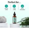 Mint Essential Oil Blend for Diffuser – Refreshing Mint Oil Diffuser Essential Oils with Cooling Peppermint Spearmint Bergamot and Eucalyptus Oils – Pure Aromatherapy Oils for Diffuser(Rosemary)