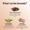 Mint Essential Oil Blend for Diffuser – Refreshing Mint Oil Diffuser Essential Oils with Cooling Peppermint Spearmint Bergamot and Eucalyptus Oils – Pure Aromatherapy Oils for Diffuser(Vanilla)