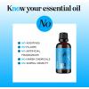 Mint Essential Oil Blend for Diffuser – Refreshing Mint Oil Diffuser Essential Oils with Cooling Peppermint Spearmint Bergamot and Eucalyptus Oils – Pure Aromatherapy Oils for Diffuser(Chill)