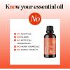 Mint Essential Oil Blend for Diffuser – Refreshing Mint Oil Diffuser Essential Oils with Cooling Peppermint Spearmint Bergamot and Eucalyptus Oils – Pure Aromatherapy Oils for Diffuser(Relax)