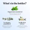 Mint Essential Oil Blend for Diffuser – Refreshing Mint Oil Diffuser Essential Oils with Cooling Peppermint Spearmint Bergamot and Eucalyptus Oils – Pure Aromatherapy Oils for Diffuser(Winter Set)