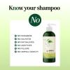 Oily Hair Shampoo for Greasy Hair – Clarifying Shampoo for Oily Hair and Dry Scalp Cleanser for Build Up – Deep Cleansing Shampoo for Oily Scalp Toner with Purifying Essential Oils for Hair Care