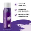 Purple Shampoo Blonde Hair Toner – Sulfate Free Shampoo for Color Treated Hair plus Blonde Shampoo for Brassiness and Yellow Tones – Hair Toner for Bleached Hair Made with Cleansing Natural Oils