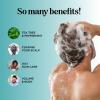 Rosemary Tea Tree Mint Shampoo – Clarifying Shampoo for Build Up and Flakes with Deep Cleansing Peppermint Oil and Tea Tree Essential Oil for Dry Scalp Treatment – Paraben & Sulfate Free (8oz)(8 Fl Oz (Pack of 1))