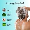 Rosemary Tea Tree Mint Shampoo – Clarifying Shampoo for Build Up and Flakes with Deep Cleansing Peppermint Oil and Tea Tree Essential Oil for Dry Scalp Treatment – Paraben & Sulfate Free (8oz)(16 Fl Oz (Pack of 1))