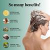Rosemary and Biotin Shampoo for Thinning Hair – Vegan Volumizing Shampoo for Fine Hair with B Vitamins Argan Oil & Tea Tree Essential Oil – Paraben Silicone and Sulfate Free Vegan Formula (2 Pack)(Rosemary)
