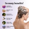 Rosemary and Biotin Shampoo for Thinning Hair – Vegan Volumizing Shampoo for Fine Hair with B Vitamins Argan Oil & Tea Tree Essential Oil – Paraben Silicone and Sulfate Free Vegan Formula (2 Pack)(Lavender Floral)