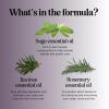 Sage and Rosemary Shampoo Sulfate Free – Ultra Clarifying Shampoo for Build Up and Dry Scalp Treatment with Cleansing Essential Oils for Hair – Sulfate Free Shampoo for All Hair Types with Sage Oil(sage)