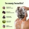Sulfate Free Shampoo and Conditioner Set – Tea Tree Sage and Rosemary Shampoo and Conditioner for Dry Flaky Scalp Care – Deep Cleansing Color Safe Shampoo and Conditioner for Damaged Dry Hair Care(Tea Tree & Sage)