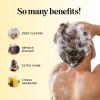 Sulfate Free Shampoo for Oily Hair – Lemon Sage Clarifying Shampoo for Build Up and Oily Scalp Care with Rosemary Essential Oil – Deep Cleansing Rosemary Shampoo for Greasy Hair and Product Build Up(Lemon)