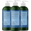 Sulfate Free Tea Tree Soap – Premium Aromatherapy Tea Tree Oil Soap with Peppermint and Rosemary Oil Ideal for Bathroom and Kitchen – Paraben Free Liquid Hand Soap Moisturizing Formula 3 Pack