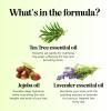 Tea Tree Conditioner for Dry Hair – Tea Tree Oil Conditioner for Damaged Dry Hair and Cleansing Conditioner for Dry Scalp Care – Sulfate Free Conditioner with Nourishing Tea Tree Oil for Hair Care(Tea Tree Oil)