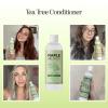 Tea Tree Conditioner for Dry Hair – Tea Tree Oil Conditioner for Damaged Dry Hair and Cleansing Conditioner for Dry Scalp Care – Sulfate Free Conditioner with Nourishing Tea Tree Oil for Hair Care(Tea Tree Oil)