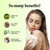 Tea Tree Oil Body Wash – Hydrating Shower Gel Tea Tree Body Wash for Women and Men – Women and Mens Body Soap with Peppermint and Tea Tree Essential Oil and Moisturizing Body Wash for Dry Skin Care