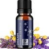 Breathe Essential Oil for Diffuser – Invigorating and Refreshing Breathe Essential Oil Blend with Eucalyptus Peppermint Tea Tree and Mint for Diffusers for Home and Shower Aromatherapy (1 Fl Oz)(Dream)