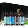 Breathe Essential Oil for Diffuser – Invigorating and Refreshing Breathe Essential Oil Blend with Eucalyptus Peppermint Tea Tree and Mint for Diffusers for Home and Shower Aromatherapy (1 Fl Oz)(Winter Set)