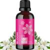 Mint Essential Oil Blend for Diffuser – Refreshing Mint Oil Diffuser Essential Oils with Cooling Peppermint Spearmint Bergamot and Eucalyptus Oils – Pure Aromatherapy Oils for Diffuser(Floral)