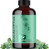 Mint Essential Oil Blend for Diffuser – Refreshing Mint Oil Diffuser Essential Oils with Cooling Peppermint Spearmint Bergamot and Eucalyptus Oils – Pure Aromatherapy Oils for Diffuser(Eucalyptus)