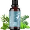 image:imageMint Essential Oil Blend for Diffuser  Refreshing Mint Oil Diffuser Essential Oils with Cooling Peppermint Spearmint Bergamot and Eucalyptus Oils  Pure Aromatherapy Oils for DiffuserBreathe