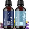 Mint Essential Oil Blend for Diffuser – Refreshing Mint Oil Diffuser Essential Oils with Cooling Peppermint Spearmint Bergamot and Eucalyptus Oils – Pure Aromatherapy Oils for Diffuser(Dream  Breathe)