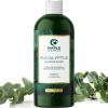Premium Lavender Bubble Bath for Women – Moisturizing Foaming Bath Bubbles for Adults with Chamomile Clary Sage & Lavender Aromatherapy Oils for Relaxing Self Care – Paraben & Sulfate Free (8 Fl Oz)(Eucalyptus)